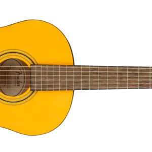 Fender Esc 80 - en test
