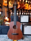 Tanglewood Tw2 - en test