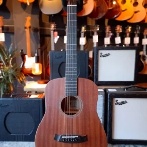 Tanglewood Tw2 - en test