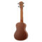 EAGLETONE COCONUT C10 – CONCERT