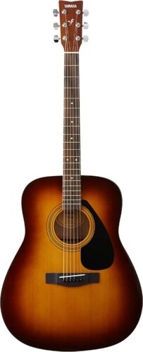 Yamaha F310